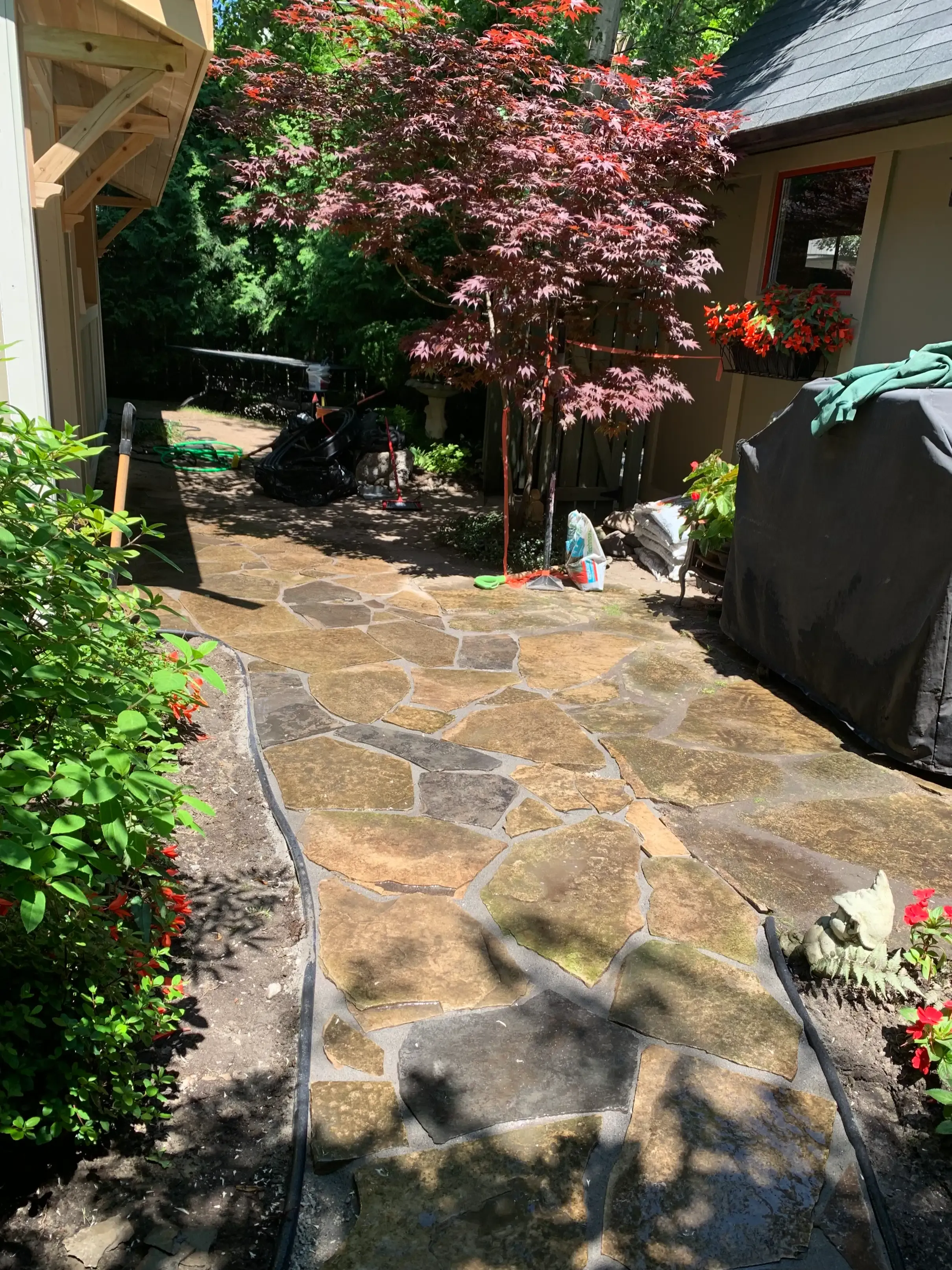 Natural flagstone patio laid beneath a Japanese maple in a shaded backyard