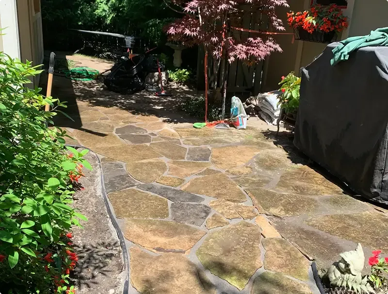 Natural flagstone patio laid beneath a Japanese maple in a shaded backyard